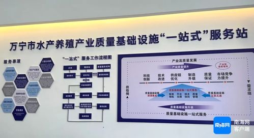 萬寧市水產(chǎn)養(yǎng)殖產(chǎn)業(yè)質(zhì)量基礎(chǔ)設(shè)施一站式服務(wù)站揭牌成立，開啟證照代辦服務(wù)新篇章
